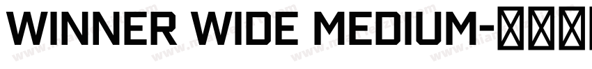 Winner Wide Medium字体转换